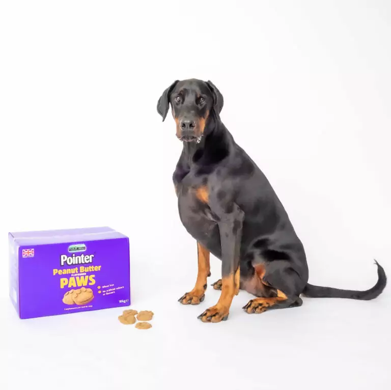 Pointer Peanut Butter Paws