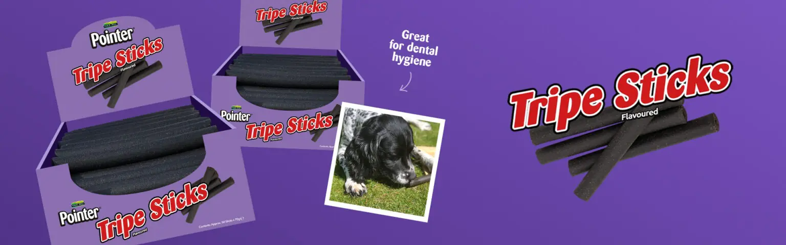 Pointer tripe sticks