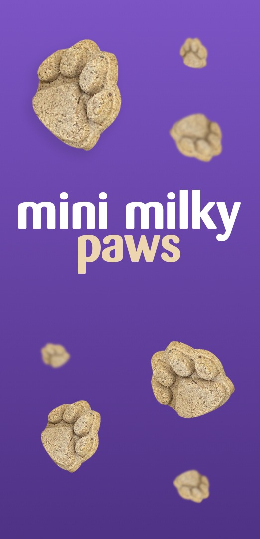 Mini milky paws mobile