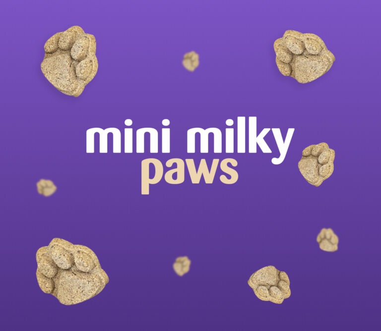 Mini milky paws tablet