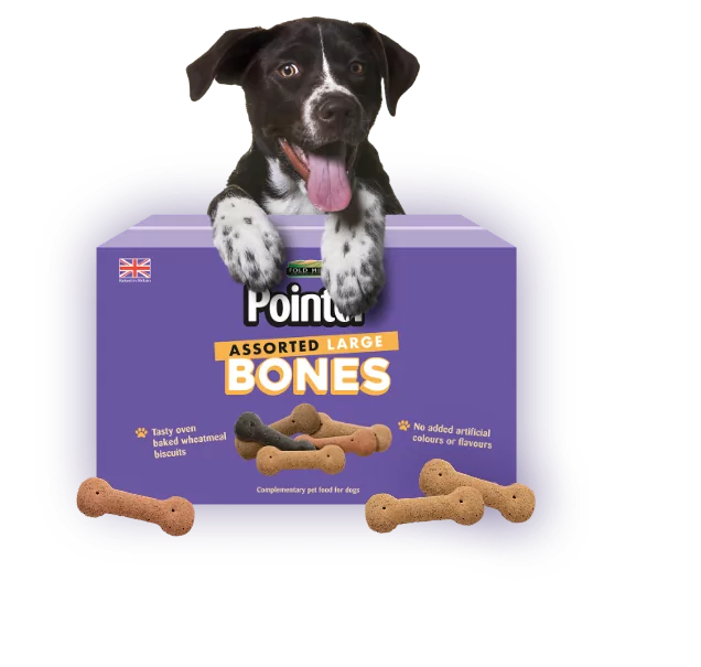 Dog Biscuit Bones | Pointer Pet Foods