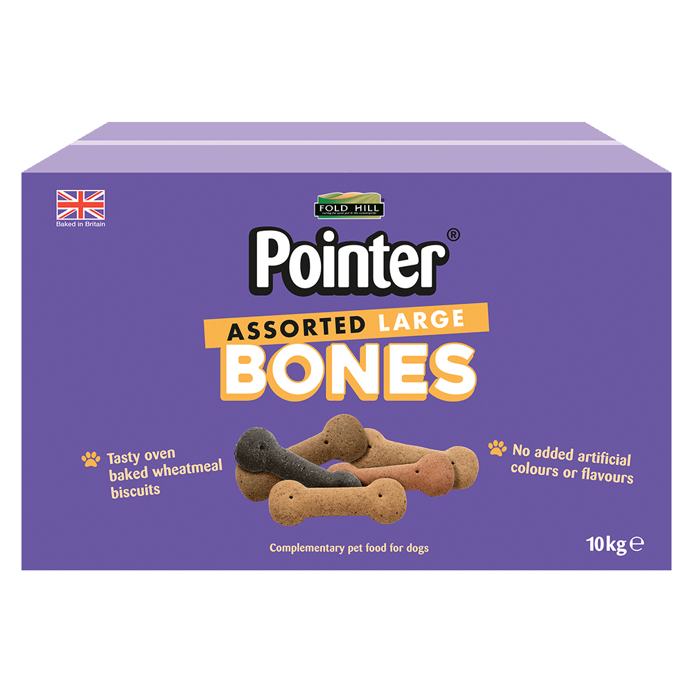assorted large dog bones