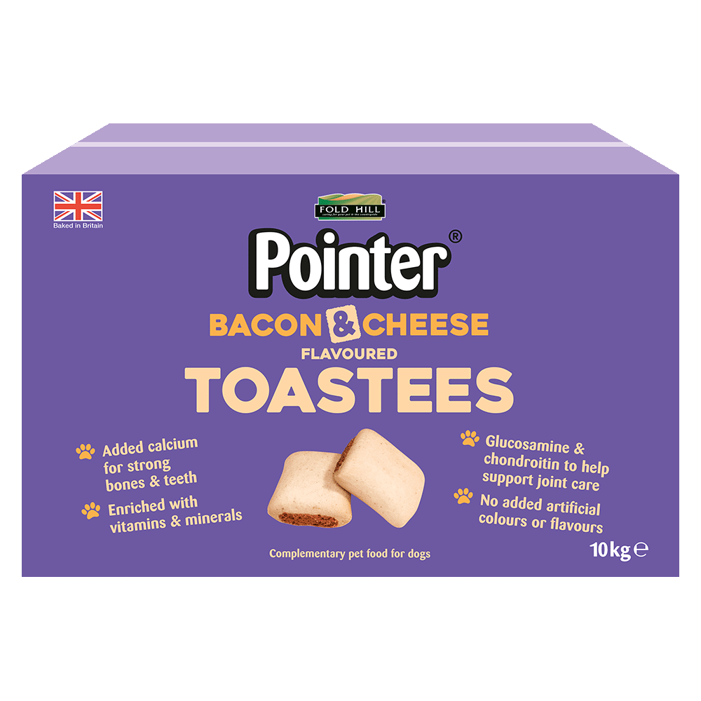 Pointer Bacon & Cheese Flavoured Toastees Dog Treats