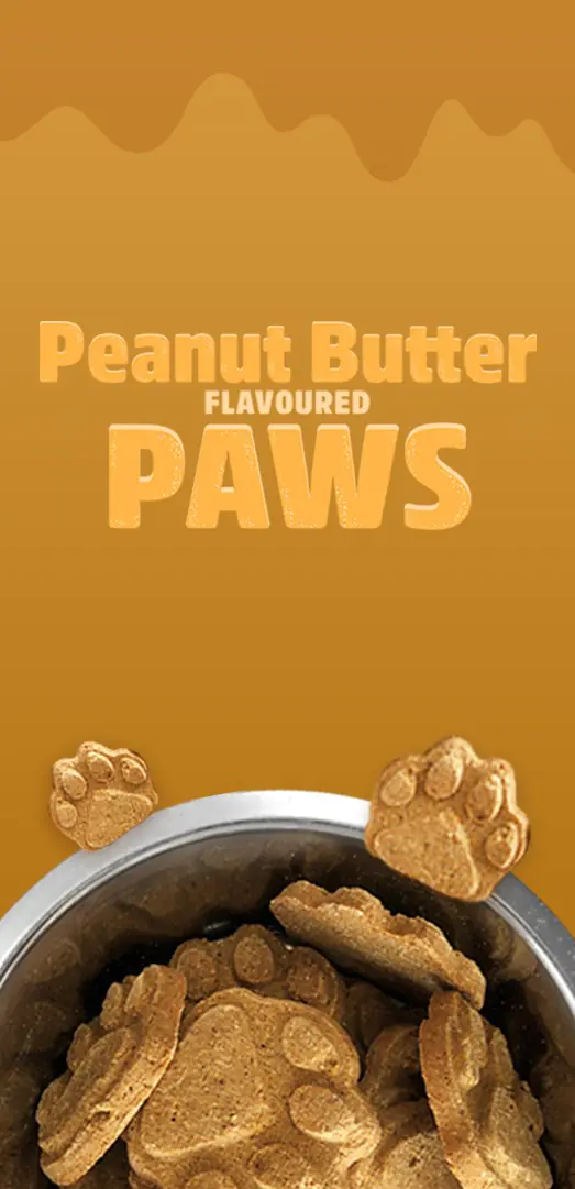 peanut butter flavoured dog treats