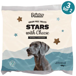 grain free stars with cheese