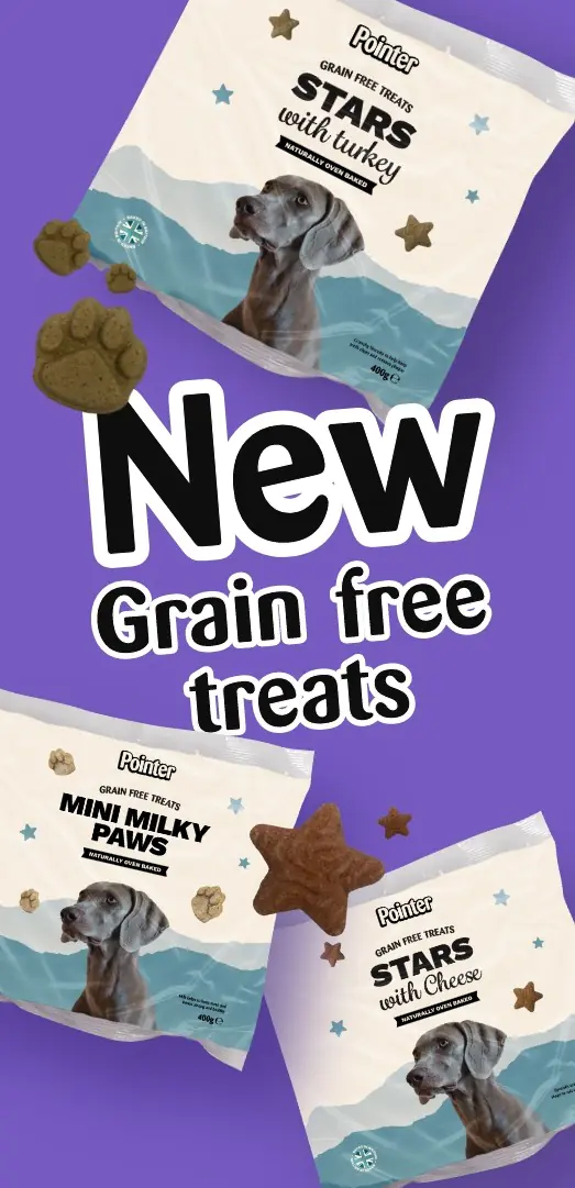 grain free treats for dogs