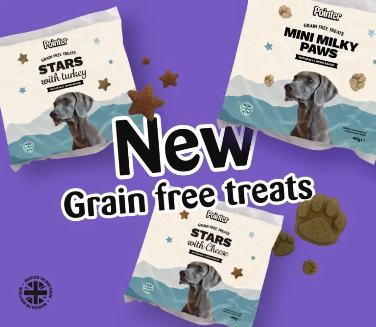 grain free pointer treats tablet