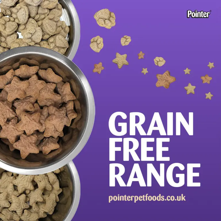 grain free treats for dogs