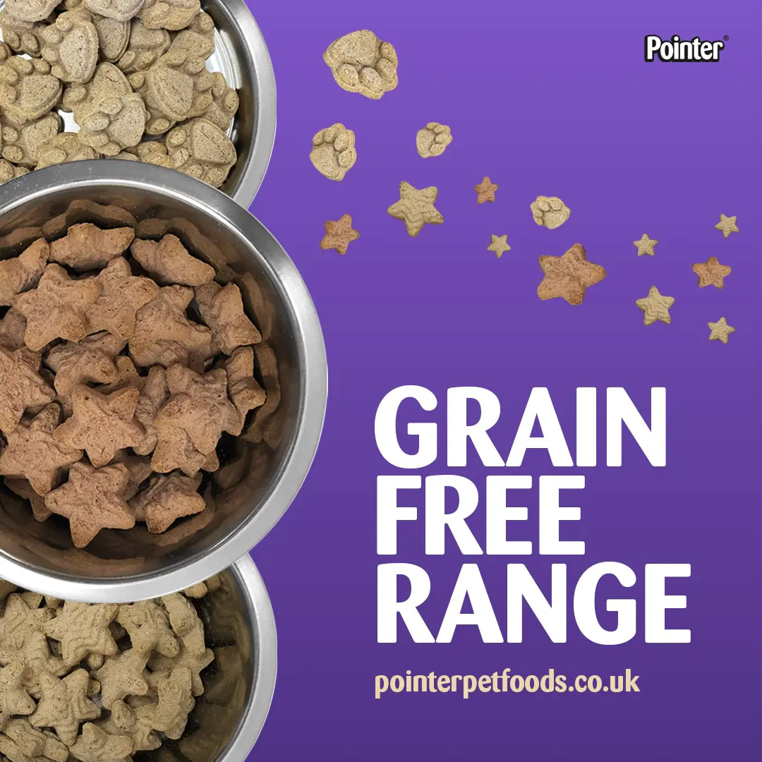 grain free treats for dogs social