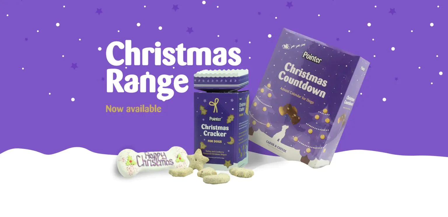 christmas treats for dogs