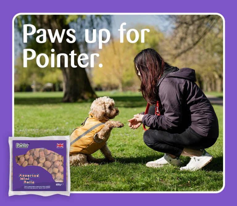 Paws up for Pointer