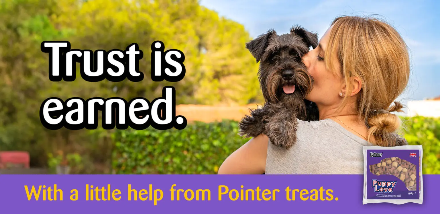 Trust is earned puppy love desktop
