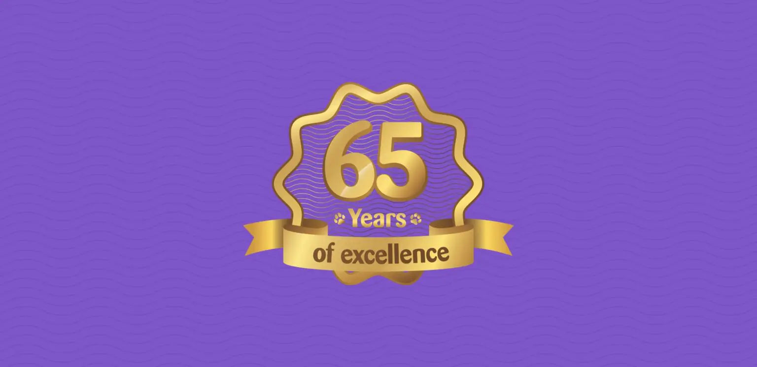 sixty five years celebration