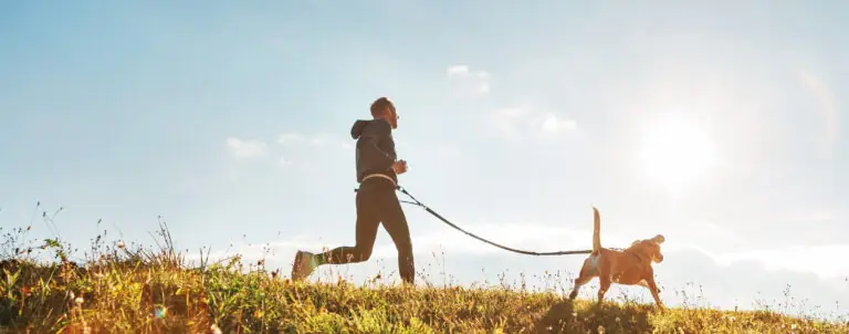 Exercise for your dog