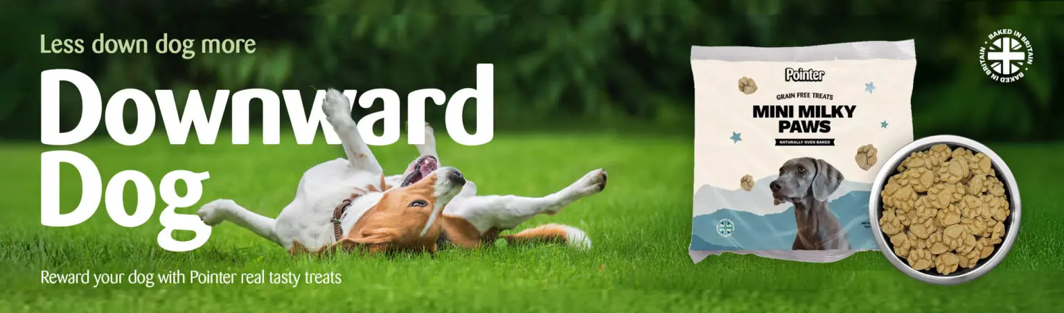 Less Downward Dog